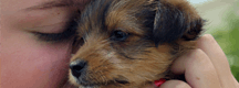 Apprenticeships in Animal Care & Veterinary Nursing