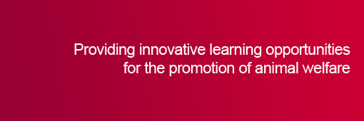 Providing innovative learning opportunities for the promotion of animal welfare