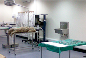 open days at CAW