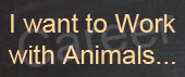 Working with Animals