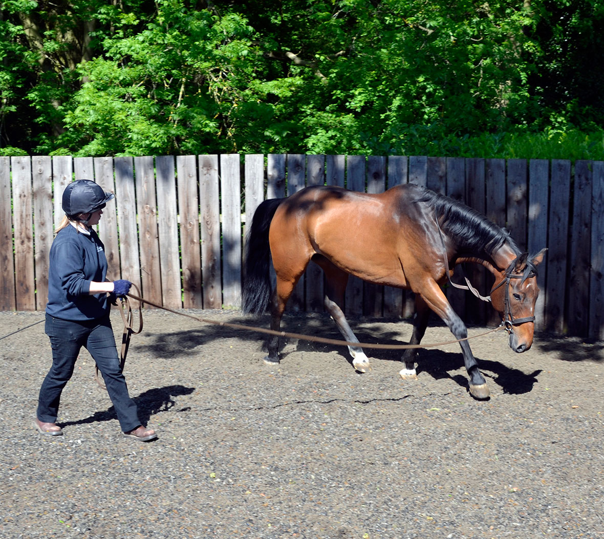 Veterinary Nurse (Equine) CAW