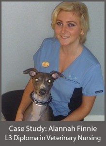 Alannah Finnie L3 Diploma in Veterinary Nursing