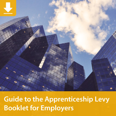 Apprenticeship Levy Pack