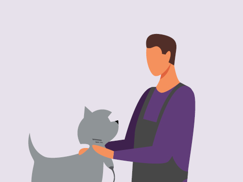 Dog Grooming training options