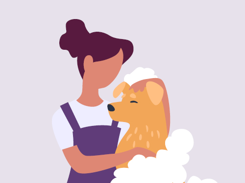Dog Grooming Awareness Month pack download