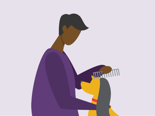 Share Dog Grooming Awareness Month