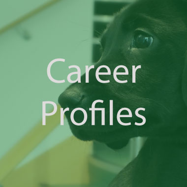 career profiles