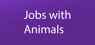 Jobs with animals