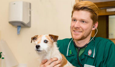 Veterinary Nursing courses