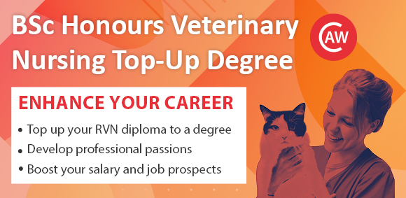 Animal Care Jobs Manchester Careers Dog Boarding Kennels Dog Care 