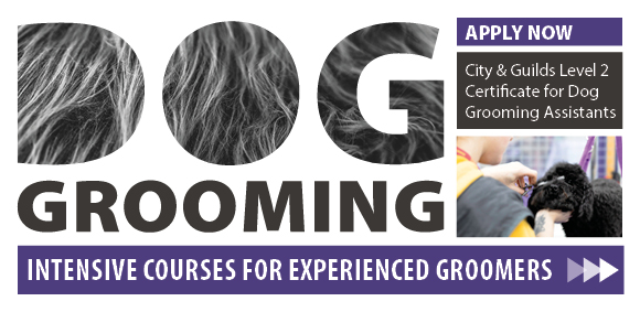 The College of Animal Welfare, since 1989 CAW