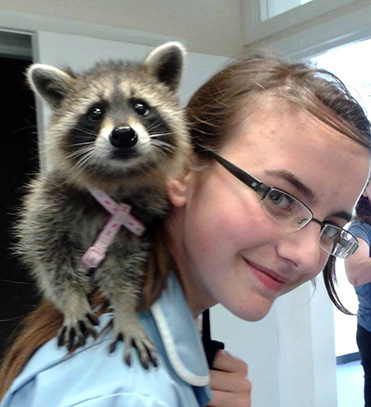 Eliza with a racoon on her shoulder