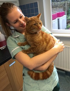 Linn Andrea Olsen holding a cat