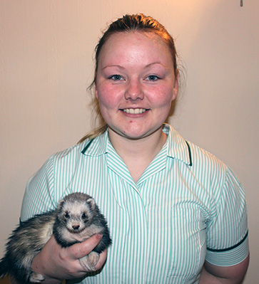 Linn Johansen holding Ripley the ferret