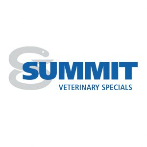 Summit Logo