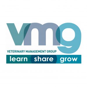 VMG Logo