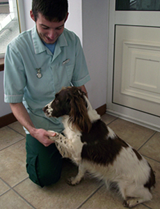 Craig McPhee with a Springer Spaniel