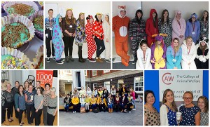 Fundraising for Children In Need