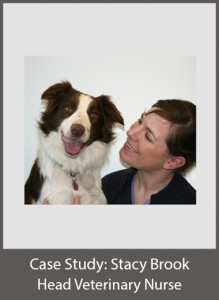 Stacy Brook Head Veterinary Nurse