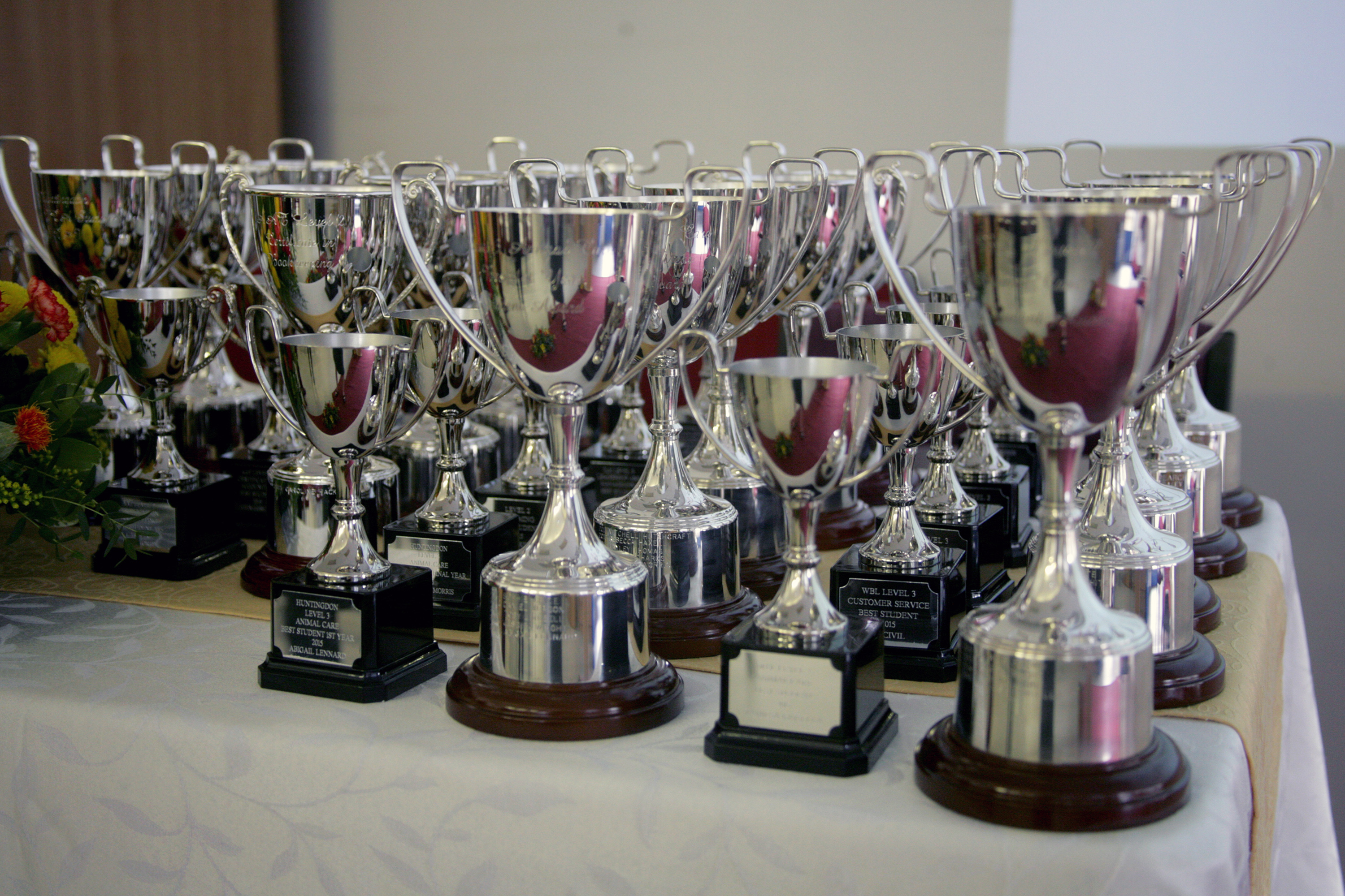 Award Winner Trophies