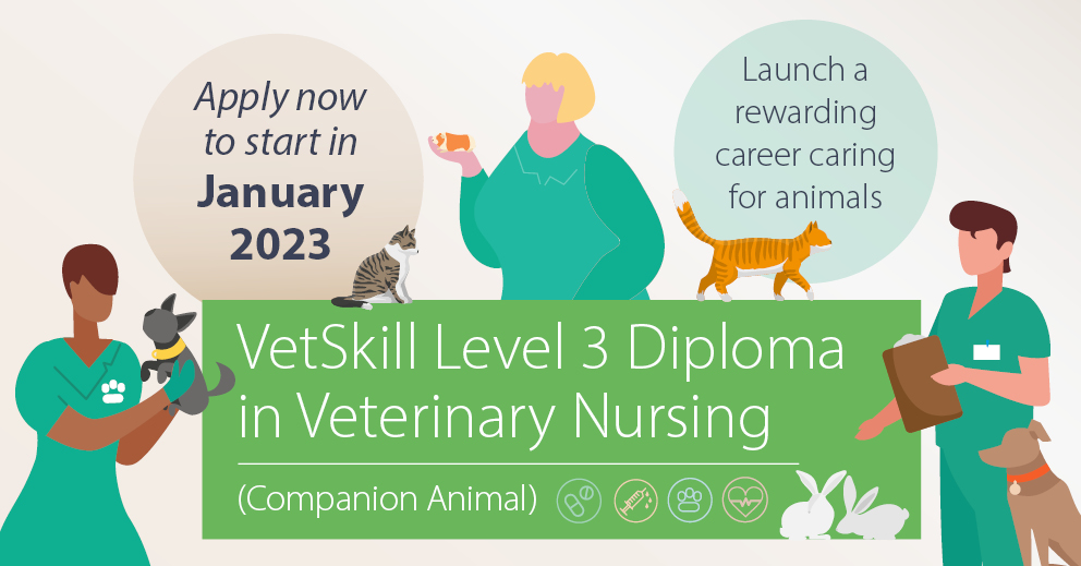 Veterinary Nursing Level 3 Diploma Co CAW