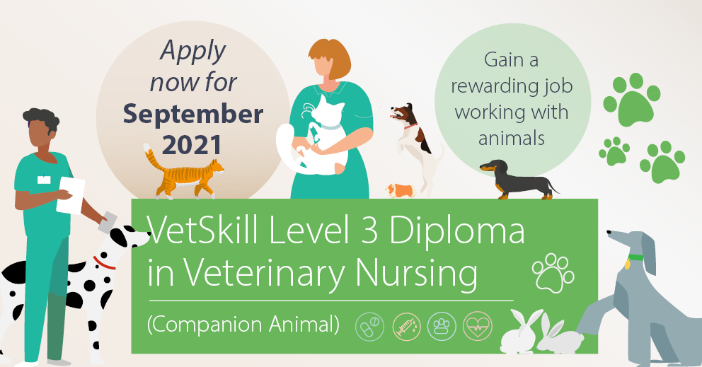 VetSkill Level 3 Diploma in Veterinary Nursing CAW