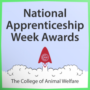 Apprenticeship-Awards-Home-Page-Image