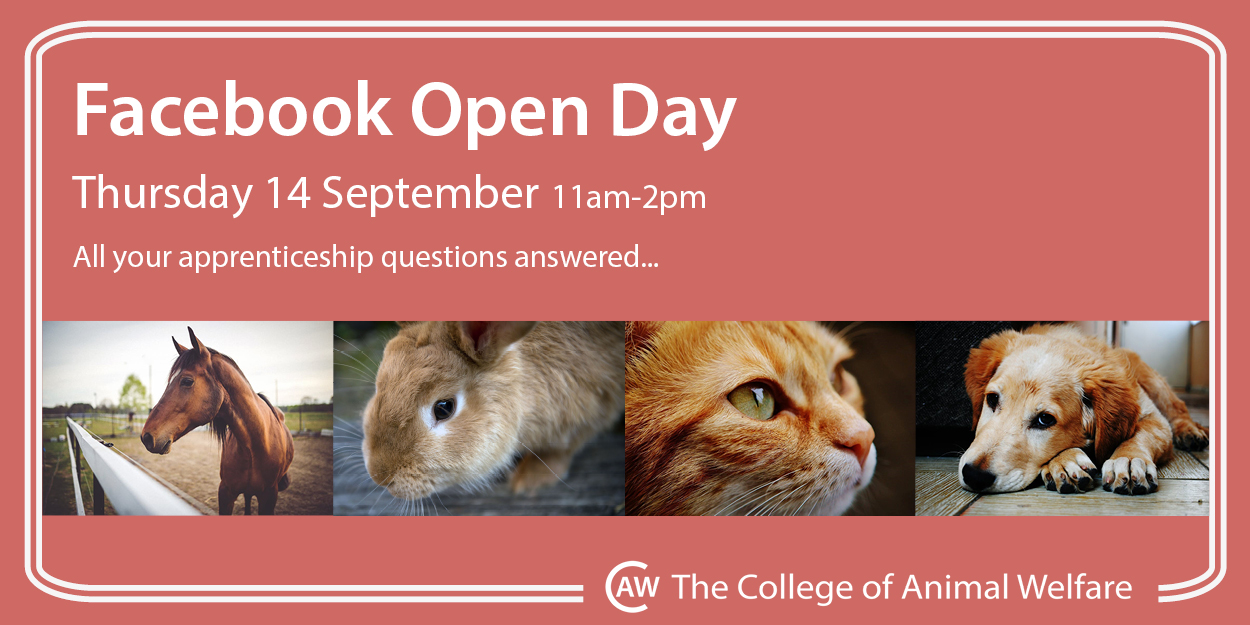 animal care apprenticeships facebook open day image