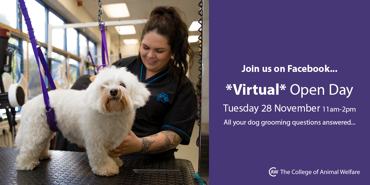 Dog Grooming Facebook Open Day Ad 201711132