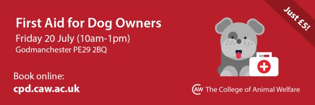 dog first aid course promotional poster