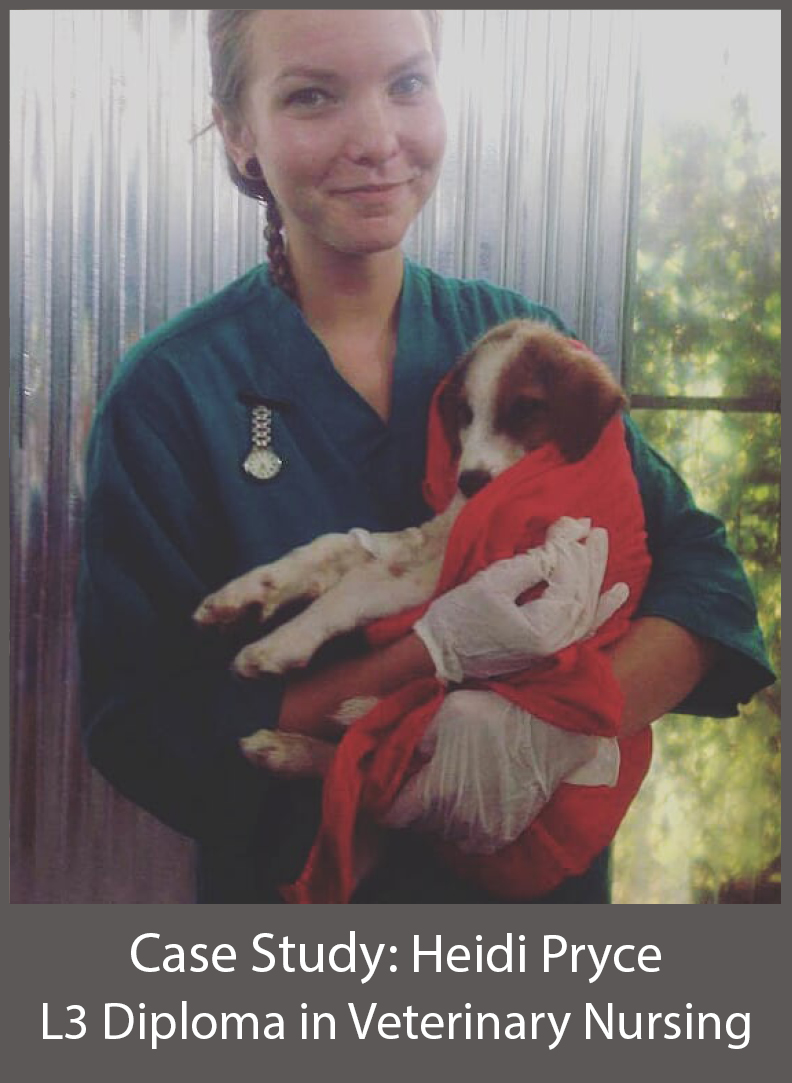 Heidi Pryce L3 Diploma in Veterinary Nursing