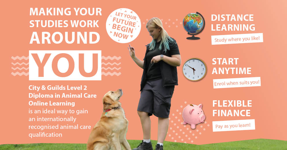 Level 2 Diploma in Animal Care Online Learning | CAW Level 2 Diploma in Animal Care Online Learning | CAW