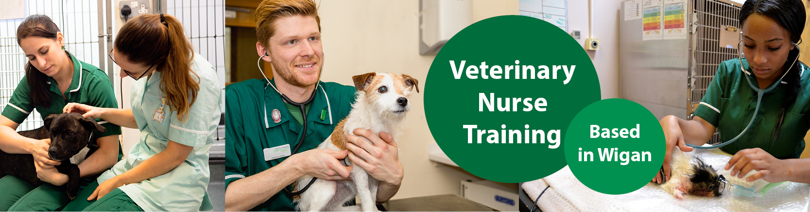 Veterinary nurse training in Wigan