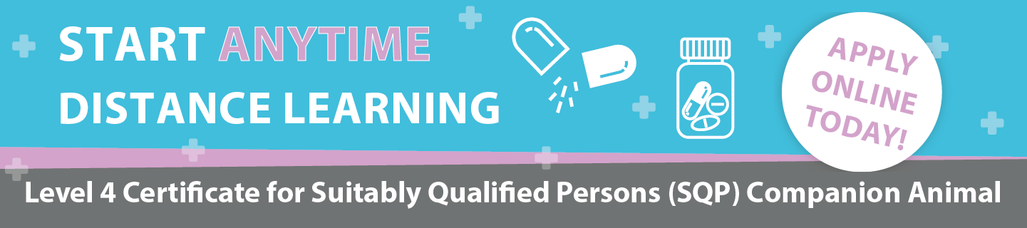 Course: VetSkill Level 4 Certificate for Suitably Qualified Persons (SQP) – Companion Animal
