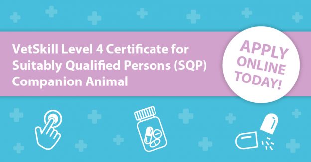 VetSkill Level 4 Certificate for Suitably Qualified Persons (SQP) cover image