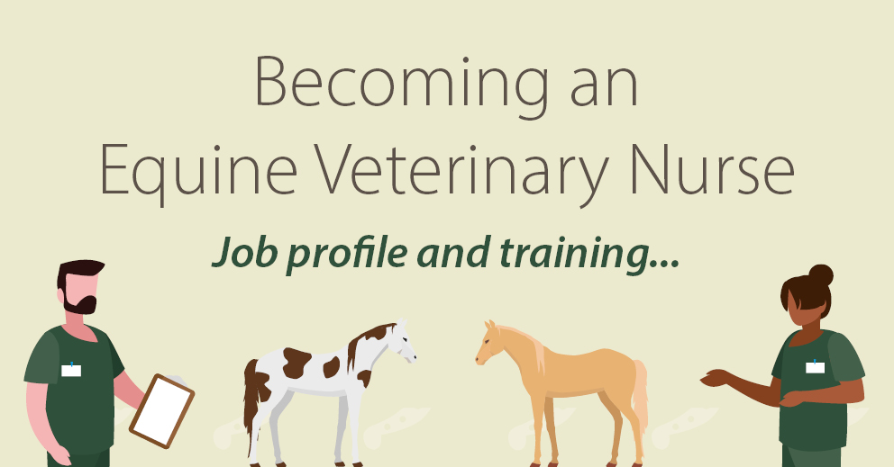 Equine VN Job profile