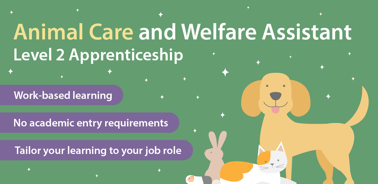 Animal Care and Welfare Assistant Level 2 Apprenticeship 