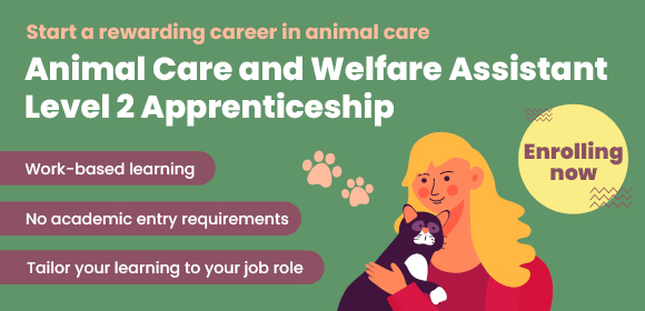 Level 2 Animal Care and Welfare Assistant Apprenticeship