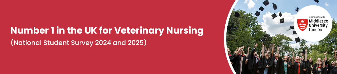 Course: BSc Honours Veterinary Nursing (with Foundation Year)