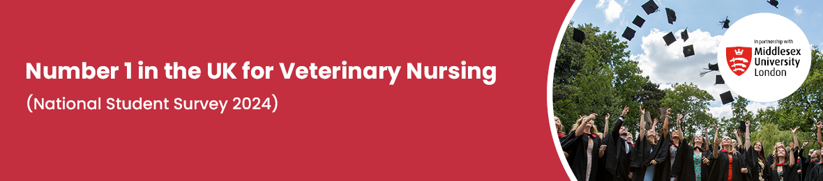 Course: BSc Honours Veterinary Nursing (Middlesex Uni)