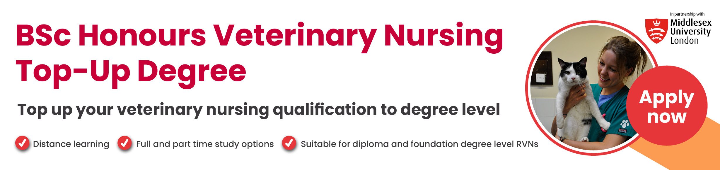 Course: BSc Honours Veterinary Nursing Top-Up Degree (Middlesex University)