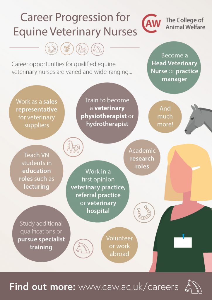 Career Progression for Equine Veterinary Nurses Poster