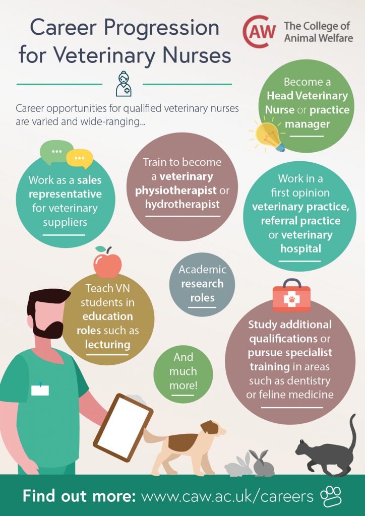 Career Progression for Veterinary Nurses Poster