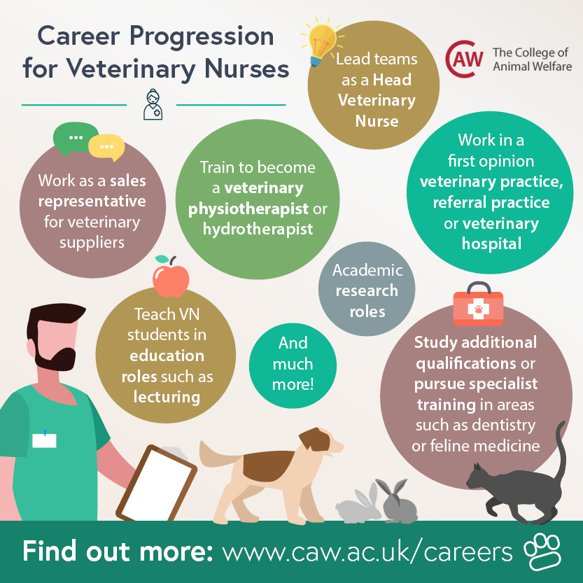 Career Progression for Veterinary Nurses Social Image