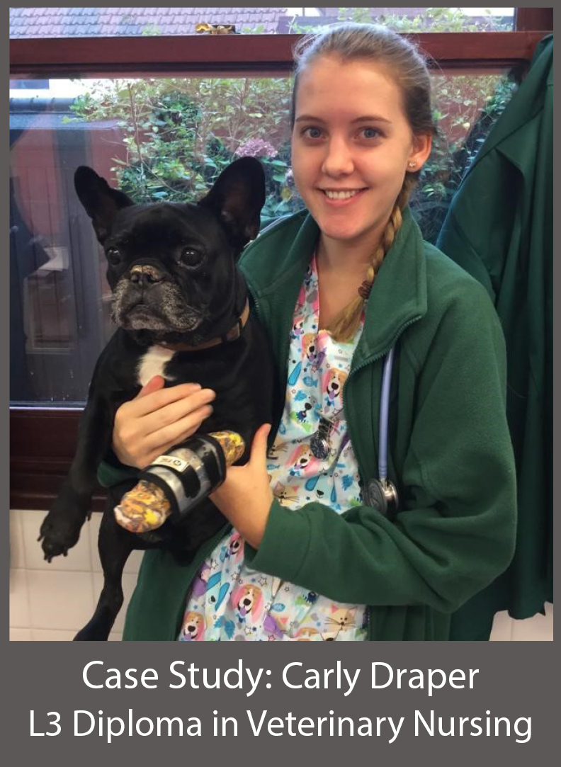 Carly Draper L3 Diploma in Veterinary Nursing