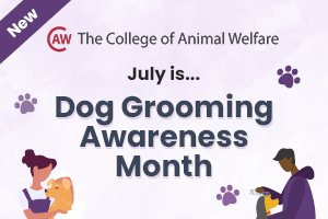 Dog Grooming Awareness Month to launch this July!