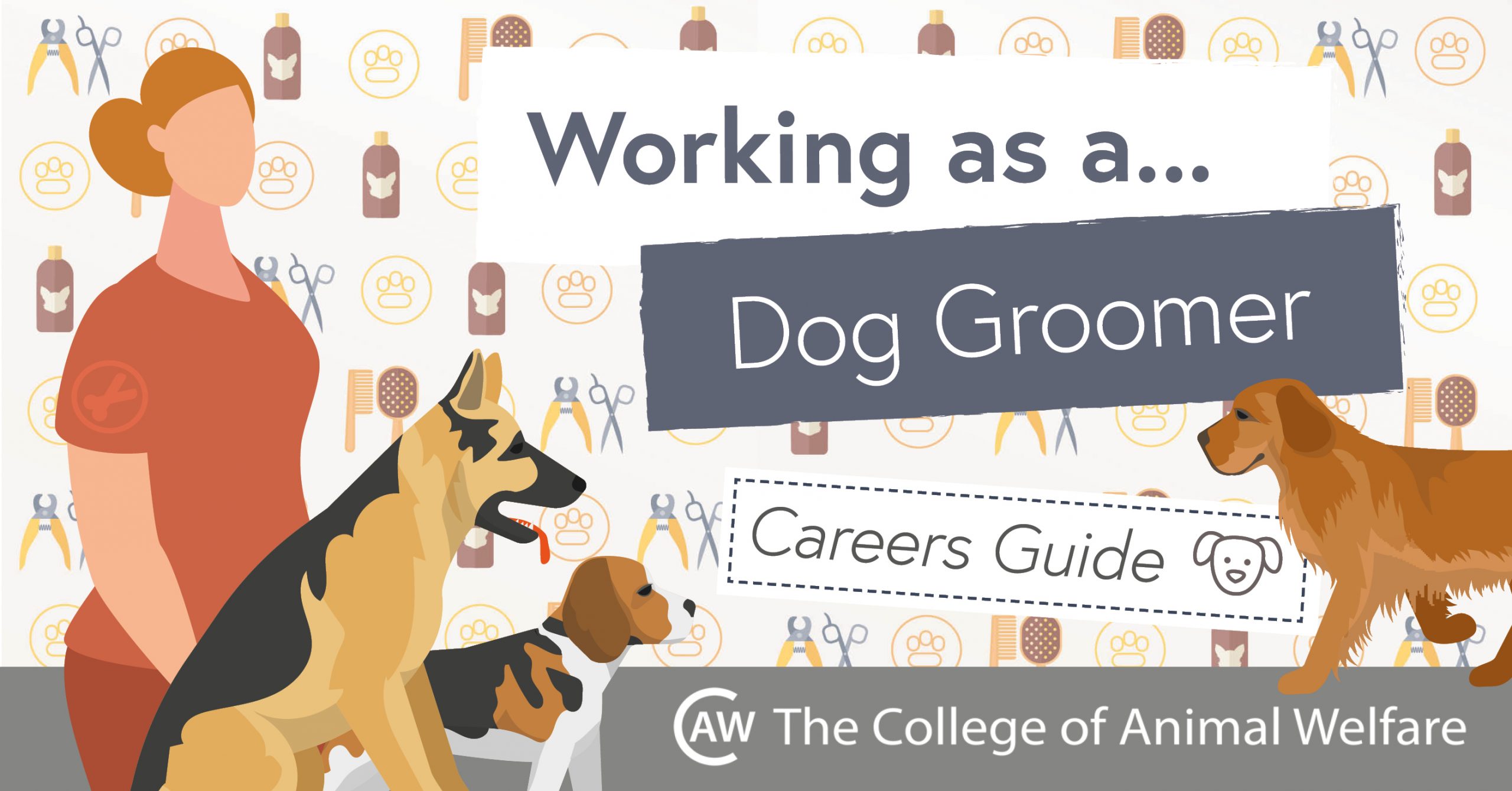 Your Guide to a Career in Dog Grooming