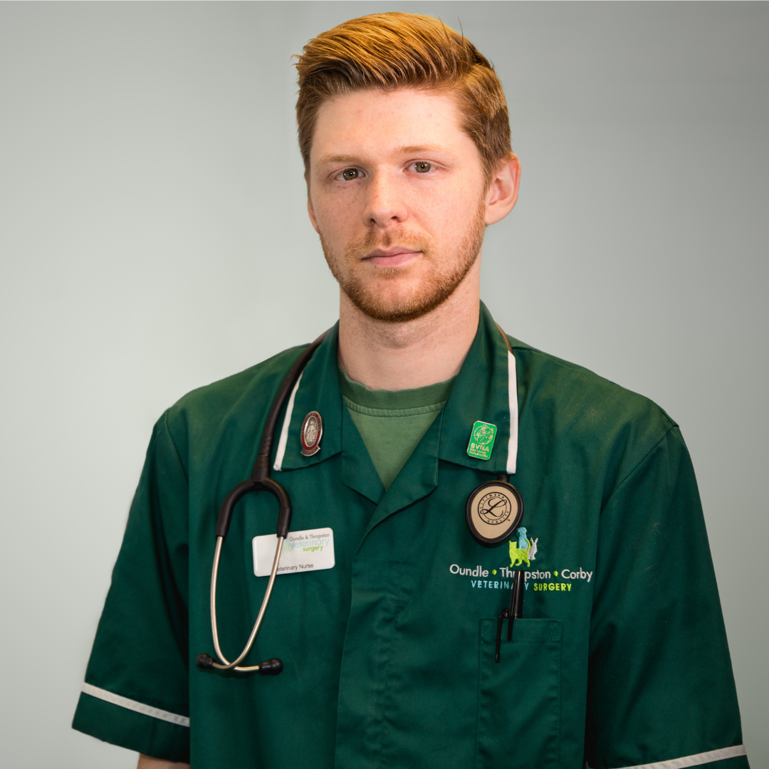 Male veterinary nurse standing facing the camera in uniform
