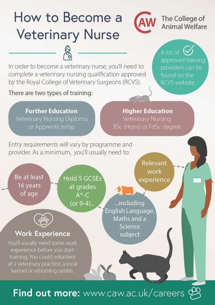 How to Become a Veterinary Nurse Poster