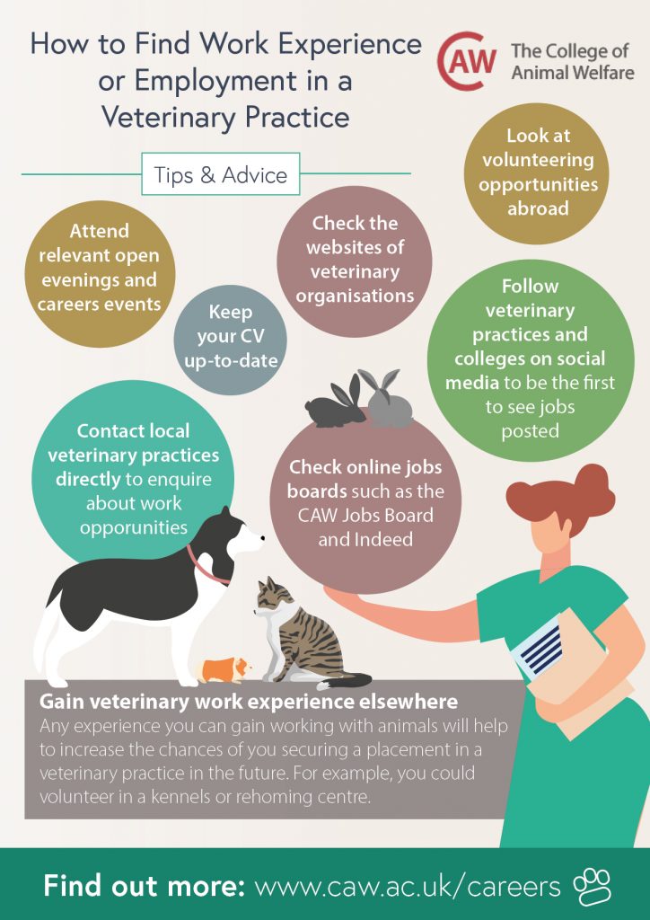 How to Find Work in a Veterinary Practice Poster